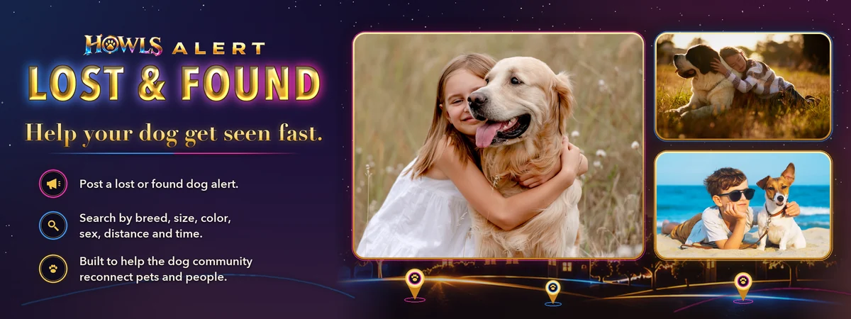 HOWLS ALERT Lost & Found — help your dog get seen fast
