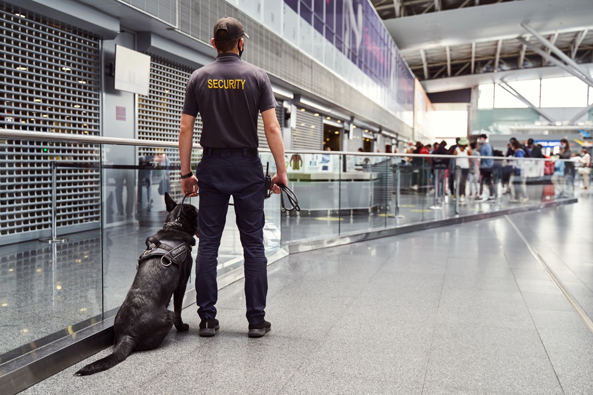 Detection K9 at airport