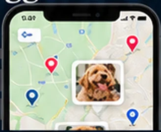 Your business on the dog map