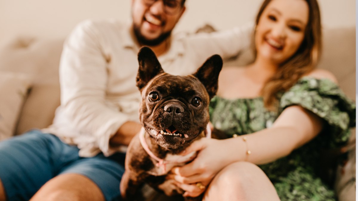 A real family with their dog