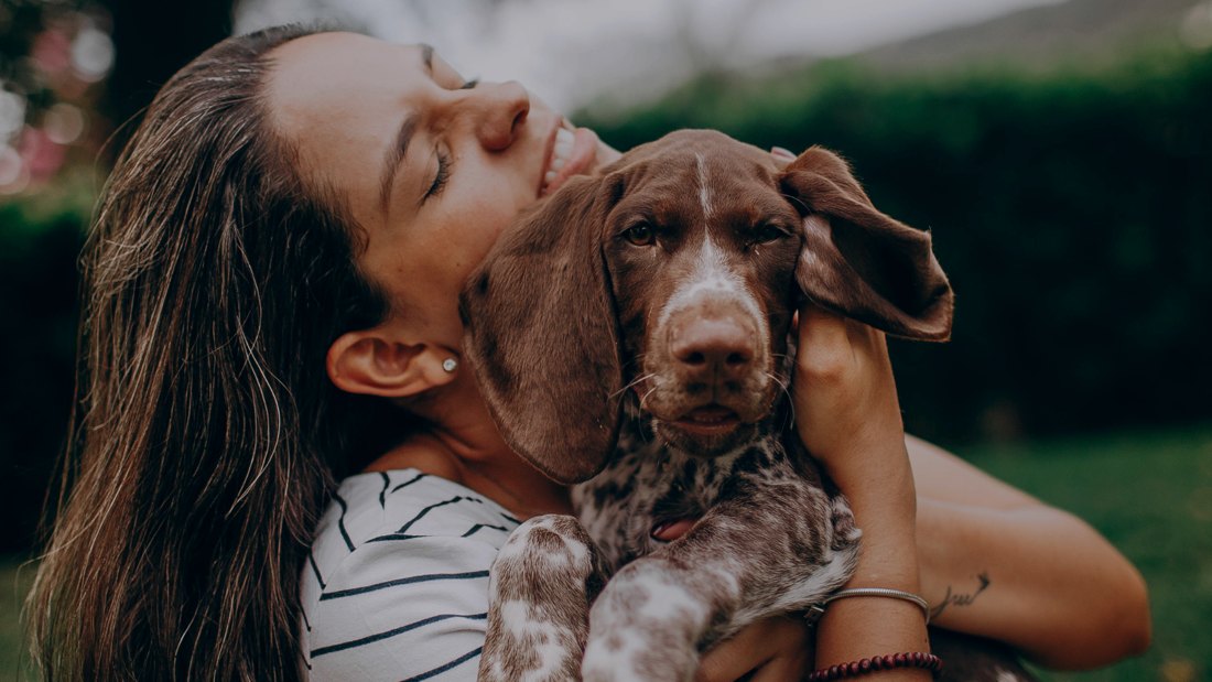 An adopted dog at home with a new family