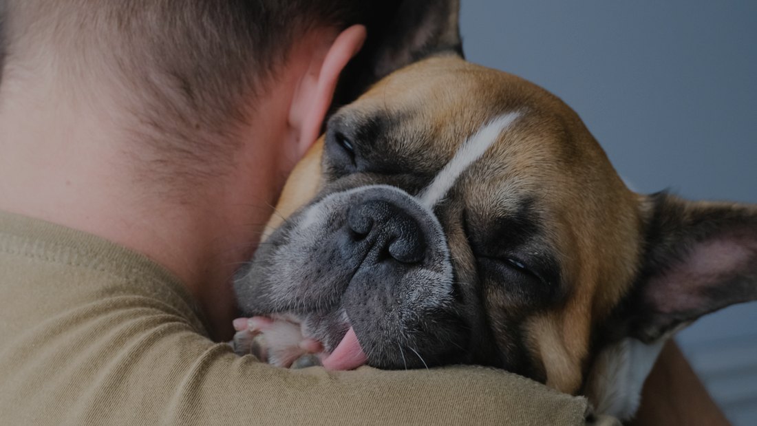 A volunteer with a shelter dog