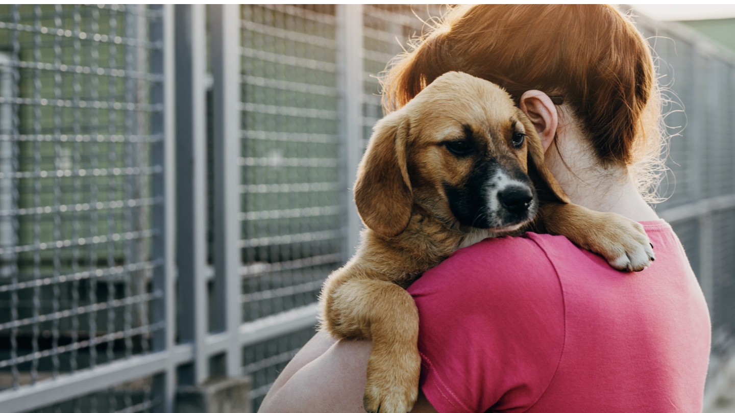 A rescue volunteer holding a young puppy